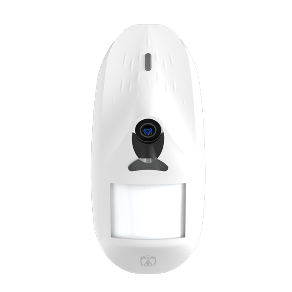 Globo Cam - Wireless Indoor Detector with Integrated Camera